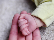 Gradovi u HNŽ imaju loš demografski prirast