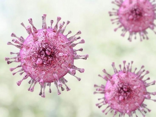 Epidemija virusa herpesa: Zaraženo više od 3,7 milijardi mlađih od 50