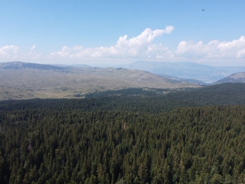FOTO/VIDEO: S HPD-om Rama na Vran planini