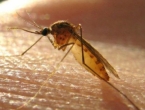 Kako se riješiti otečenosti i crvenila nakon uboda komarca
