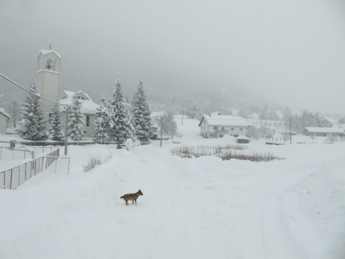 FOTO: Visina snijega na Orašcu 76 cm