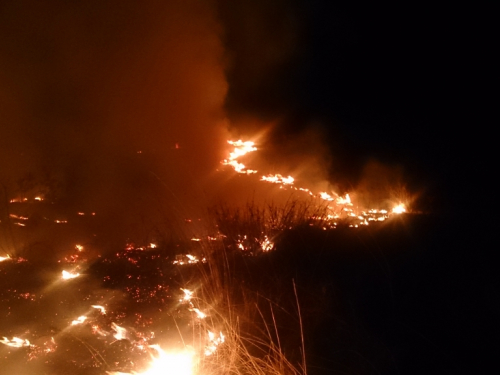 FOTO/VIDEO: Na Ometalama gorilo, intervenirali vatrogasci