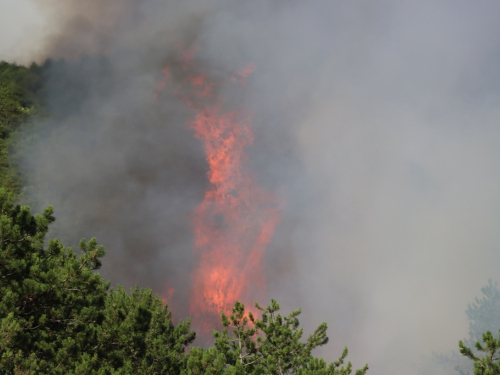VIDEO/FOTO: Požar u Podboru - Vatrogasci nemoćni, borovina gori nekontrolirano