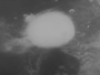 75 je godina od bacanja atomskih bombi na japanske gradove