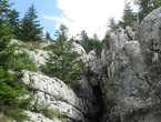 Rama u mreži raspuklina