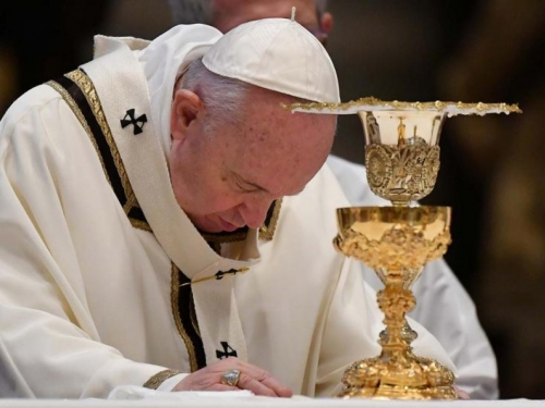 Papa Franjo poziva na nastavak borbe protiv malarije