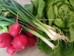 Top 6 vrsta povrća koje treba jesti u proljeće