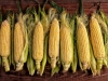 Ne bacajte kukuruznu svilu: Čudesni diuretik