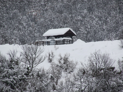 FOTO: Zima na Ramskom jezeru