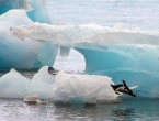 Na Arktiku zabilježeno rekordnih 38°C