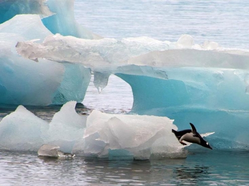 Na Arktiku zabilježeno rekordnih 38°C