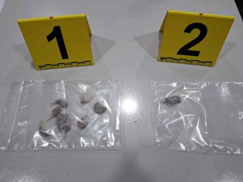 Prozor-Rama: Policija zaplijenila heroin tijekom kontrole vozila