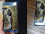 Zbog eksplozivnih baterija Samsung globalno povlači Galaxy Note 7