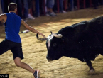 Muškarac preminuo nakon uboda bika