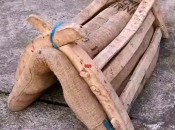 Dok je leđa, bit će i samara!