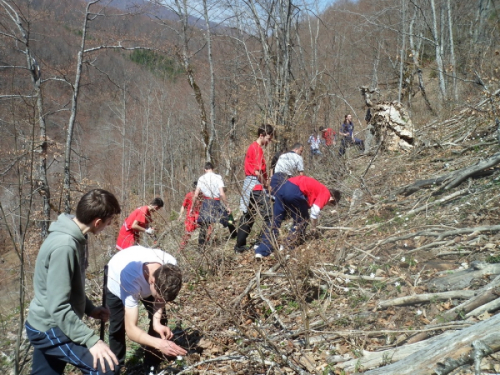 FOTO: Akcija "Zasadi drvo" održana na Makljenu