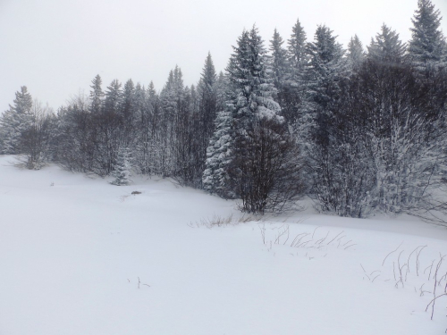 FOTO: Vjetar i snijeg gospodari na Raduši