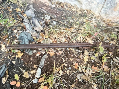 U šumi između Perića i Duga pronađen ljudski kostur bez glave!