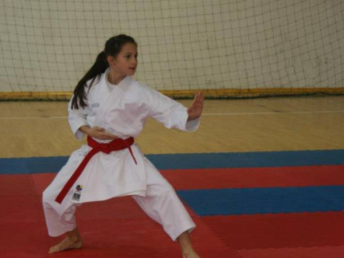 FOTO: Održan karate turnir "Rama open 2014."