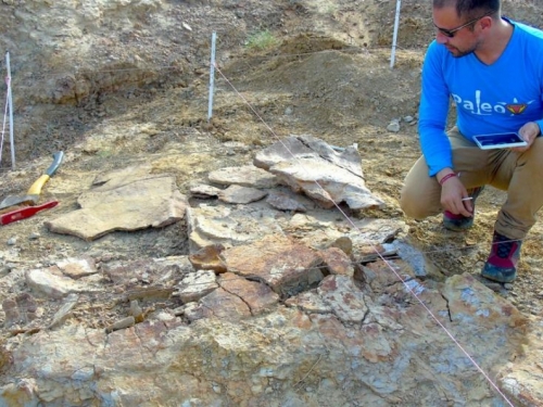 U Južnoj Americi pronađen fosil kornjače veličine automobila