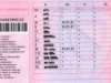 Nova pravila u BiH: Izmjene kod registracije vozila, vozačkih dozvola i licenci