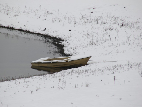 Hladi val zahvatio BiH