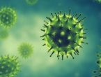 Koronavirus: Identificirano sedam različitih grupa simptoma