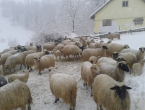 Kiša u Hercegovini, snijeg u Bosni