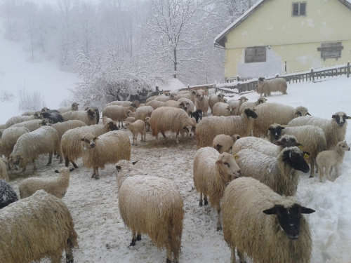 Kiša u Hercegovini, snijeg u Bosni