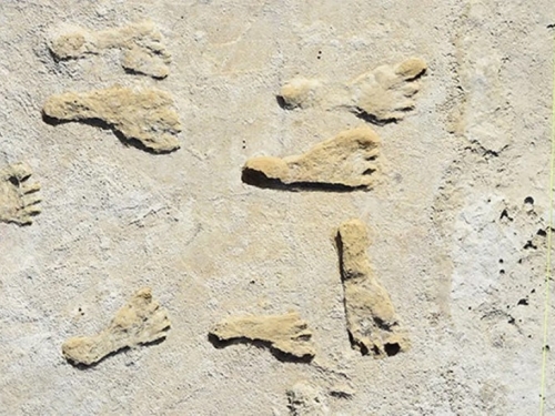 U Americi otkriveni otisci stopala stari 23.000 godina