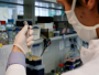 U Njemačkoj razvijen novi test na koronavirus