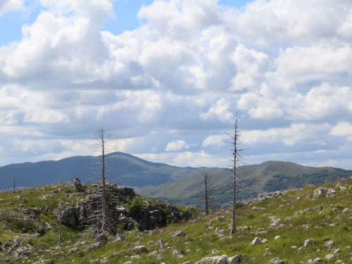 FOTO: HPD Rama - Nastavak markiranja staze na Kedžaru