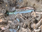 Pronađen mač star 3.000 godina: ''Još uvijek blista''