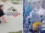 Šire se snimke trenutka potresa na Kamčatki