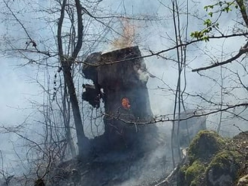 Požar u Donjoj Rami se širi, gase ga vatrogasci i mještani