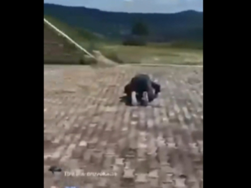 Grmoja: Hrvati se nisu bojali mudžahida, ne boje se ni ovih tik tok ekstremista
