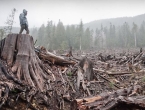 Pao je dogovor: Od 2030. neće se sjeći šume