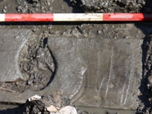 Pronađena 2000 godina stara drvena zahodska daska
