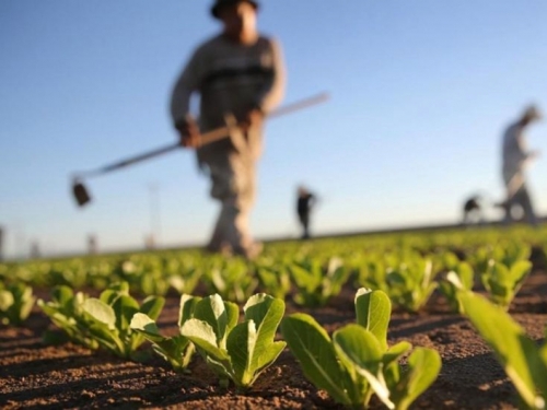 Poljoprivrednici od Vlade traže još 10 milijuna KM