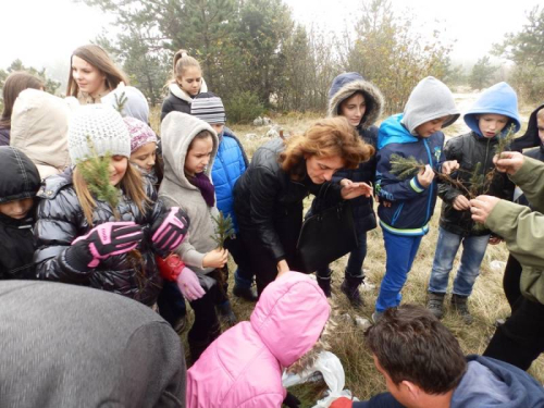 FOTO: Učenici u akciji pošumljavanja