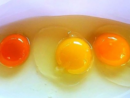 Ima li boja žumanjka veze sa kvalitetom jaja?