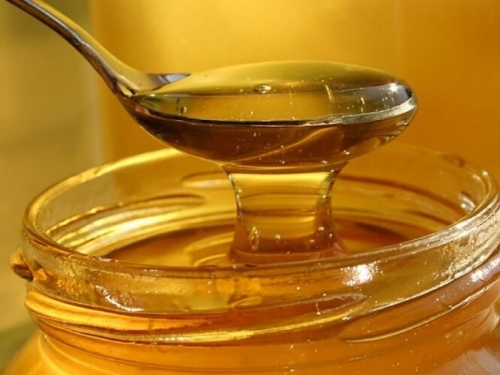 Zbog manjih prinosa med bi mogao koštati i 20 KM po kilogramu