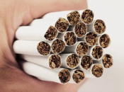 Cigarete skrivene u madracu: vozaču iz BiH kazna 45 tisuća eura