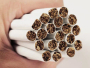 Cigarete skrivene u madracu: vozaču iz BiH kazna 45 tisuća eura