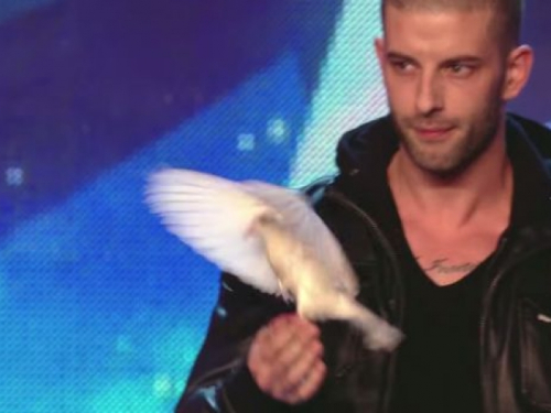 VIDEO: Mladi mađioničar oduševio žiri i publiku