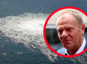 Tusk: Pokroviteljima Sjevernog toka je bolje da se ispričaju i zašute