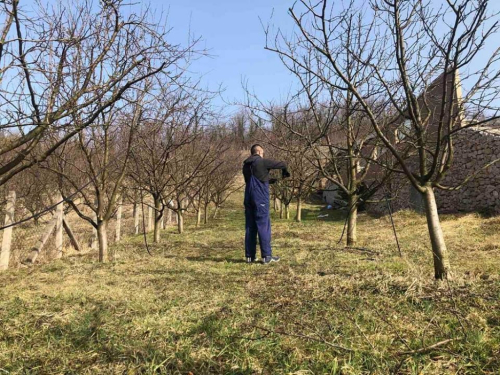 Kako pripremiti voćnjak, dvorište i vrt za novu sezonu?