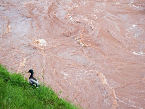 Povećan vodostaja na cijelom vodnom području rijeke Save