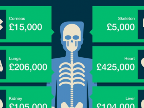 Evo koliko košta svaki organ u tijelu?