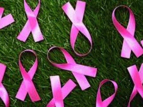 10 super moćnih namirnica u borbi protiv karcinoma dojke